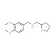 (3,4-Dimethoxy-benzyl)-(tetrahydro-furan-2-yl-methyl)-amine (CAS 346704-26-5) - chemical structure image