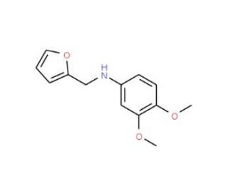 (3,4-Dimethoxy-phenyl)-furan-2-ylmethyl-amine (CAS 436088-80-1) - chemical structure image