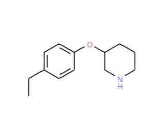 3-(4-Ethylphenoxy)piperidine (CAS 946726-06-3) - chemical structure image