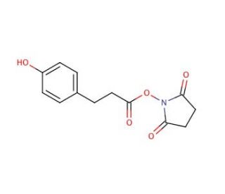 3-(4-Hydroxyphenyl)propionic acid N-hydroxysuccinimide ester (CAS 34071-95-9) - chemical structure image
