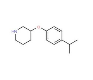 3-(4-Isopropylphenoxy)piperidine - chemical structure image