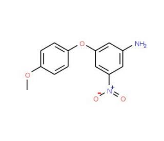 [3-(4-methoxyphenoxy)-5-nitrophenyl]amine - chemical structure image