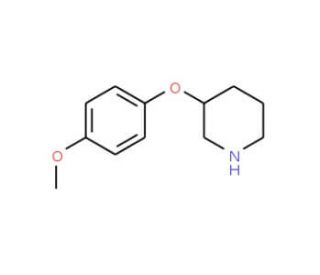 3-(4-Methoxyphenoxy)piperidine (CAS 902837-31-4) - chemical structure image