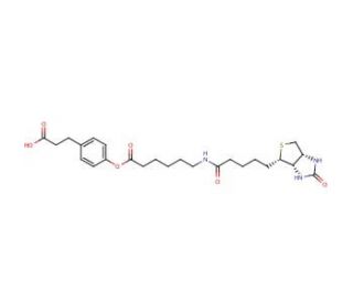3-(4-(N-Biotinoyl-6-aminocaproyloxy)phenyl)propionic Acid (CAS 83592-10-3) - chemical structure image
