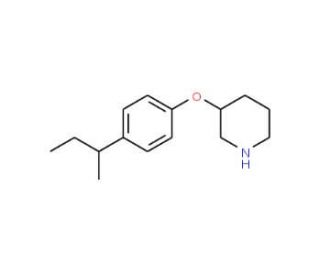 3-[4-(sec-Butyl)phenoxy]piperidine - chemical structure image