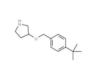 3-{[4-(tert-Butyl)benzyl]oxy}pyrrolidine - chemical structure image