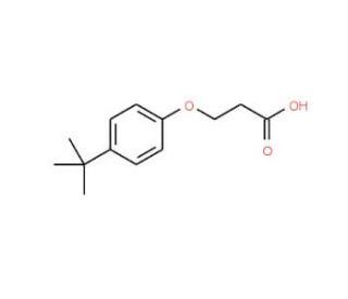 3-(4-tert-Butyl-phenoxy)-propionic acid (CAS 23067-72-3) - chemical structure image