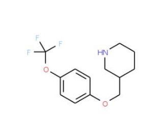 3-{[4-(Trifluoromethoxy)phenoxy]methyl}piperidine - chemical structure image