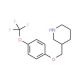 3-{[4-(Trifluoromethoxy)phenoxy]methyl}piperidine - chemical structure image