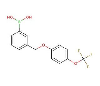 3-[[4&prime;-(Trifluoromethoxy)phenoxy]methyl]phenylboronic acid (CAS 849062-06-2) - chemical structure image