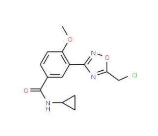 3-[5-(Chloromethyl)-1,2,4-oxadiazol-3-yl]-N-cyclopropyl-4-methoxybenzamide - chemical structure image