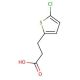 3-(5-chlorothiophen-2-yl)propanoic acid - chemical structure image