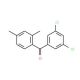 3,5-Dichloro-2′,4′-dimethylbenzophenone (CAS 306937-29-1) - chemical structure image