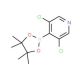 3,5-Dichloro-4-pyridineboronic acid pinacol ester (CAS 1257641-28-3) - chemical structure image