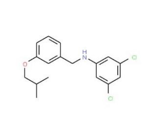 3,5-Dichloro-N-(3-isobutoxybenzyl)aniline - chemical structure image
