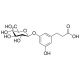 3,5-Dihydroxyphenylpropanoic Acid 3-O-β-D-Glucuronide - chemical structure image