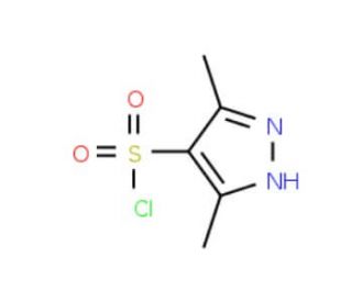 3,5-dimethyl-1H-pyrazole-4-sulfonyl chloride (CAS 80466-78-0) - chemical structure image