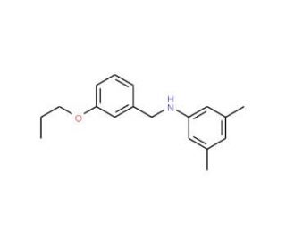 3,5-Dimethyl-N-(3-propoxybenzyl)aniline - chemical structure image