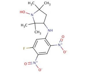 3-(5-Fluoro-2,4-dinitroanilino)-2,2,5,5,-tetramethyl-1-pyrrolidinyloxy (CAS 73784-45-9) - chemical structure image
