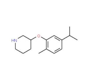 3-(5-Isopropyl-2-methylphenoxy)piperidine - chemical structure image