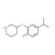 3-(5-Isopropyl-2-methylphenoxy)piperidine - chemical structure image