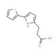 3-(5-Thiophen-2-yl-1H-pyrrol-2-yl)-propionic acid - chemical structure image