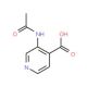 3-(Acetylamino)isonicotinic acid (CAS 215103-12-1) - chemical structure image