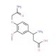 3-Amino-3-[4-(2-amino-2-oxoethoxy)-3-methoxyphenyl]propanoic acid - chemical structure image