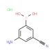 3-Amino-5-cyanophenylboronic acid, HCl (CAS 913835-26-4) - chemical structure image
