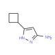 3-Amino-5-cyclobutyl-1H-pyrazole (CAS 326827-21-8) - chemical structure image