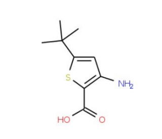 3-Amino-5-tert-butylthiophene-2-carboxylic acid - chemical structure image
