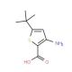 3-Amino-5-tert-butylthiophene-2-carboxylic acid - chemical structure image