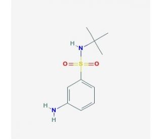 3-amino-N-(tert-butyl)benzenesulfonamide (CAS 608523-94-0) - chemical structure image