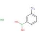 3-Aminophenylboronic acid hydrochloride (CAS 85006-23-1) - chemical structure image