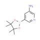 3-Aminopyridine-5-boronic acid, pinacol ester (CAS 1073354-99-0) - chemical structure image