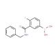 3-(Benzylcarbamoyl)-4-fluorobenzeneboronic acid (CAS 874219-22-4) - chemical structure image