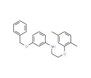 3-(Benzyloxy)-N-[2-(2,5-dimethylphenoxy)ethyl]-aniline - chemical structure image