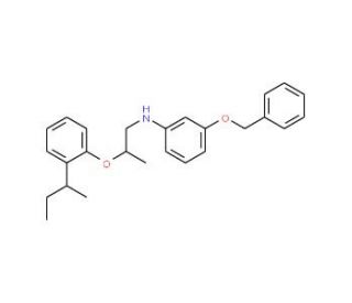 3-(Benzyloxy)-N-{2-[2-(sec-butyl)phenoxy]-propyl}aniline - chemical structure image