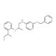 3-(Benzyloxy)-N-{2-[2-(sec-butyl)phenoxy]-propyl}aniline - chemical structure image