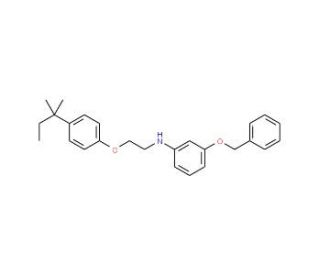 3-(Benzyloxy)-N-{2-[4-(tert-pentyl)phenoxy]-ethyl}aniline - chemical structure image