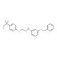 3-(Benzyloxy)-N-{2-[4-(tert-pentyl)phenoxy]-ethyl}aniline - chemical structure image