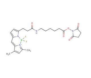 3-Bodipy-propanoylaminocaproic Acid, N-Hydroxysuccinimide Ester (CAS 217190-09-5) - chemical structure image