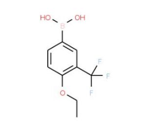 3-Borono-6-ethoxybenzotrifluoride (CAS 871329-83-8) - chemical structure image
