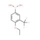 3-Borono-6-ethoxybenzotrifluoride (CAS 871329-83-8) - chemical structure image