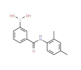3-Borono-N-(2,4-dimethylphenyl)benzamide (CAS 957060-98-9) - chemical structure image