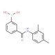 3-Borono-N-(2,4-dimethylphenyl)benzamide (CAS 957060-98-9) - chemical structure image