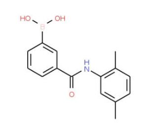 3-Borono-N-(2,5-dimethylphenyl)benzamide (CAS 957061-00-6) - chemical structure image