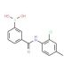 3-Borono-N-(2-chloro-4-methylphenyl)benzamide (CAS 957060-97-8) - chemical structure image