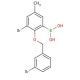 3-Bromo-2-(3′-bromobenzyloxy)-5-methylphenylboronic acid (CAS 849052-16-0) - chemical structure image