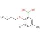 3-Bromo-2-butoxy-5-methylphenylboronic acid (CAS 870718-03-9) - chemical structure image